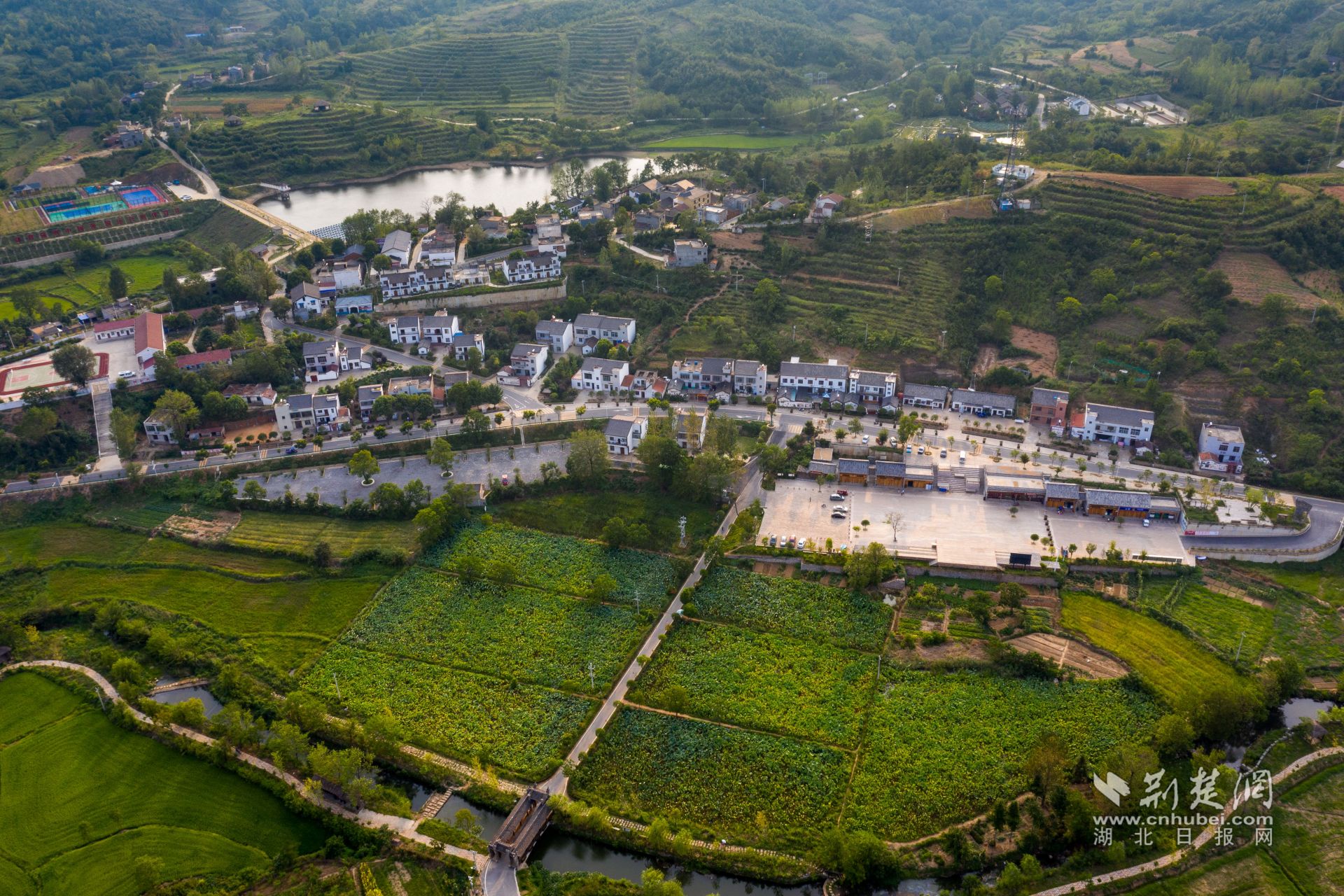 新城鎮金嶺村.jpg.jpg