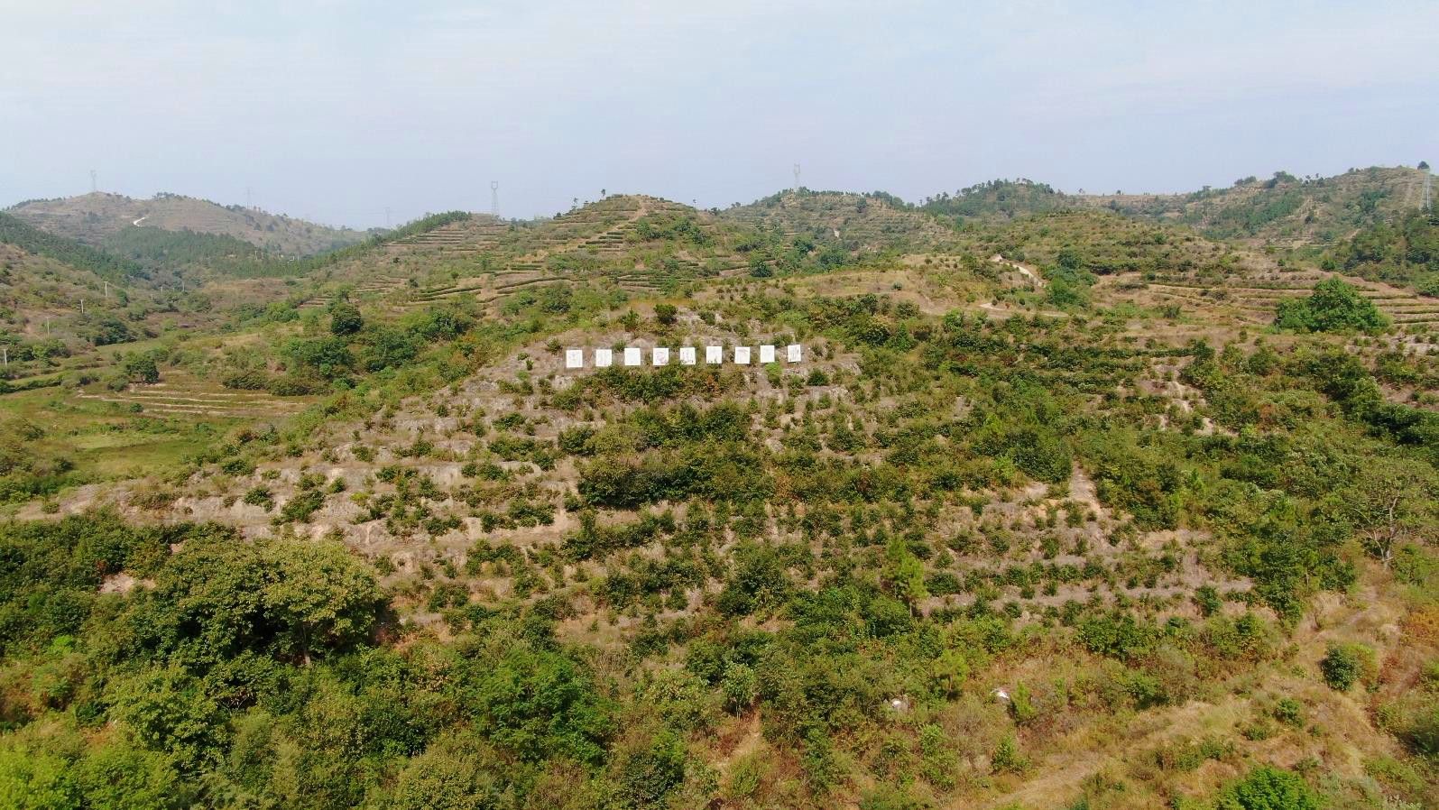 九龍山生態園_副本.jpg.jpg