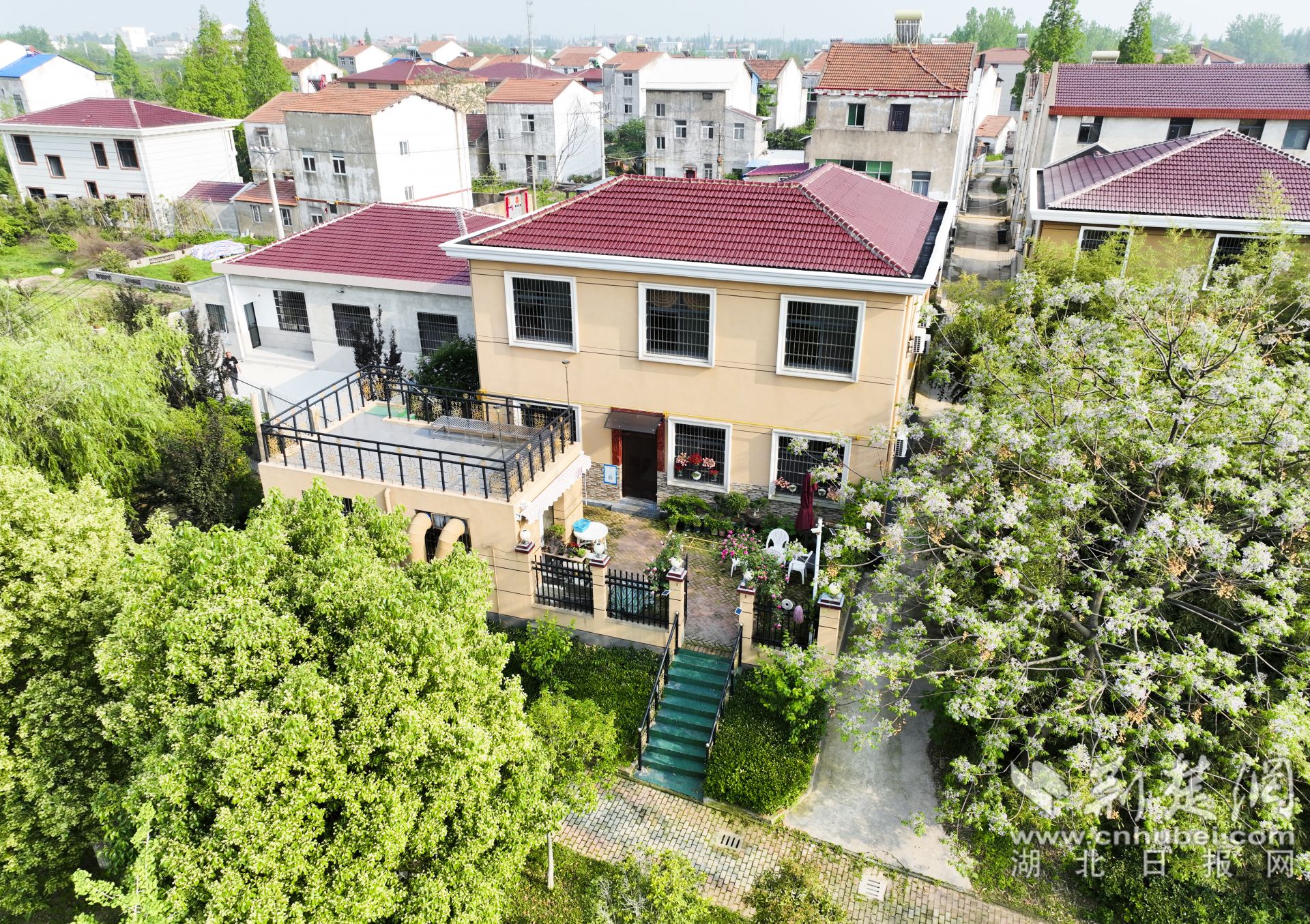 西王村村民王偉因地制宜，把房前屋后改造成別致小院，還開起了農家樂。1.jpg.jpg