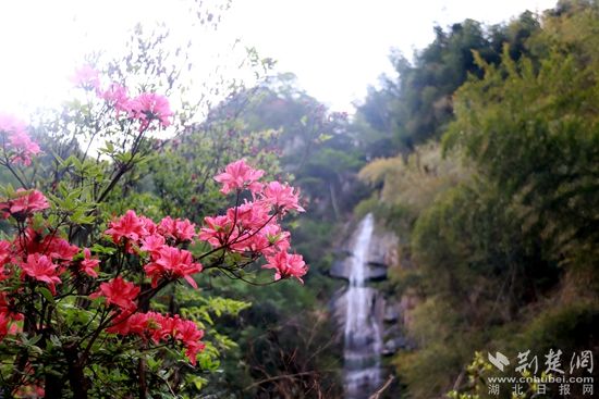 黃龍山頂，風景如畫 黃錚 攝_副本.jpg.jpg