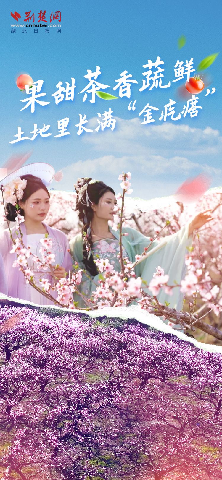 海報1.jpg.jpg